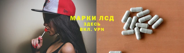 амф Верея