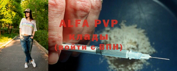 гашик Бородино